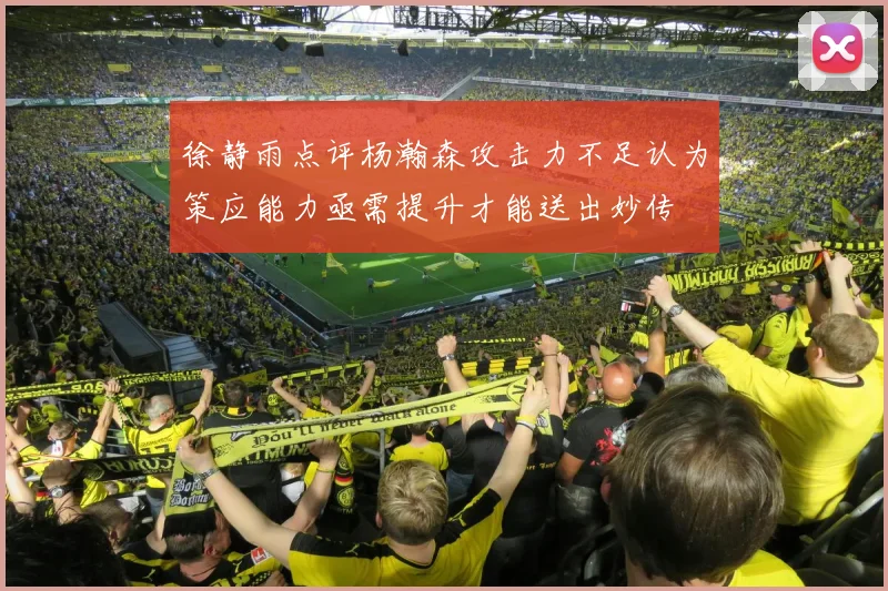 徐静雨点评杨瀚森攻击力不足认为策应能力亟需提升才能送出妙传